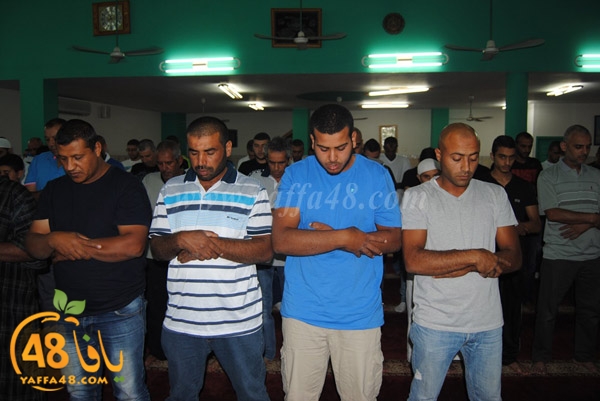 trawe7 zatona (35).JPG